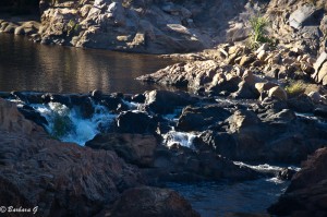IMG_8981