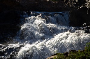 IMG_9044