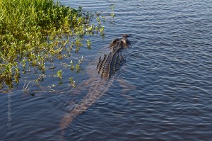 IMG_9063