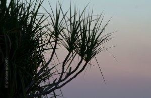 IMG_9530