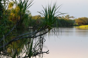 IMG_9531