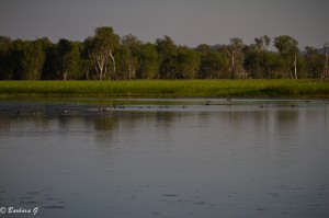 IMG_9537