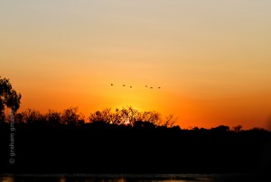 IMG_9555