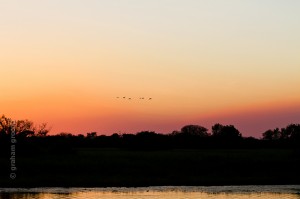 IMG_9559
