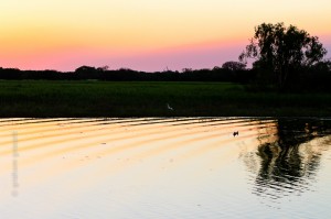 IMG_9573