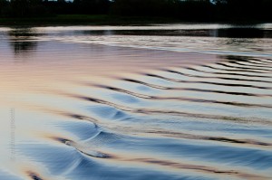 IMG_9582