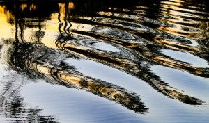 IMG_9603