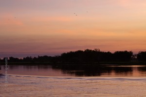 IMG_9619