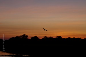 IMG_9623