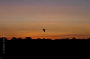 IMG_9624