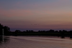 IMG_9627