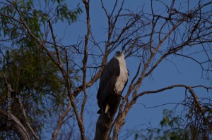 IMG_9641