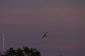 IMG_9649