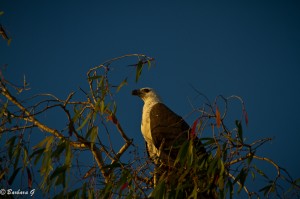 IMG_9657