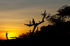 IMG_9683