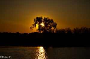 IMG_9688