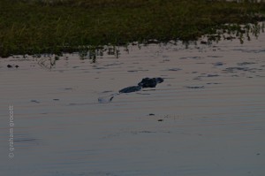 IMG_9709