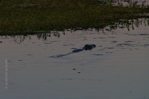 IMG_9710