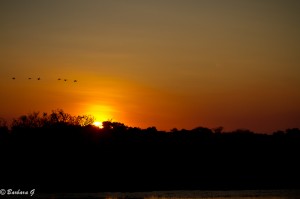 IMG_9723