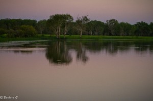 IMG_9758