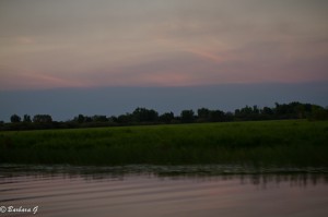 IMG_9774