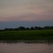 IMG_9774