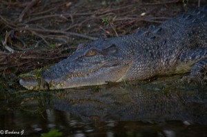 IMG_9805