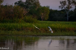 IMG_9883
