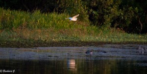 IMG_9905