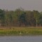_MG_0245