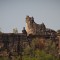 _MG_0520