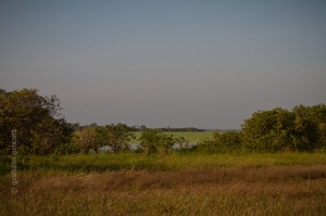 _MG_0689