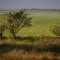 _MG_0720