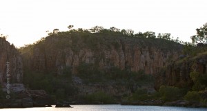 _MG_8253
