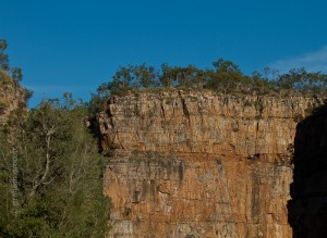 _MG_8424