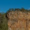 _MG_8424
