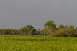 _MG_9189