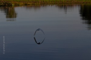_MG_9997