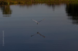 _MG_9998