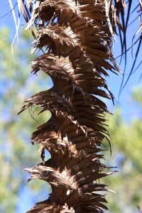 IMG_1442