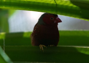IMG_1703