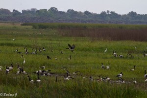 IMG_1838