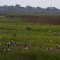 IMG_1838