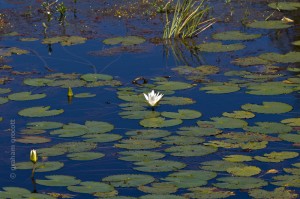 IMG_1862