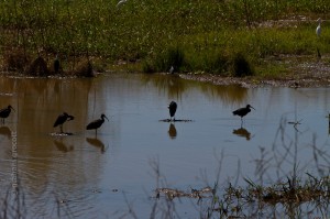 IMG_1873