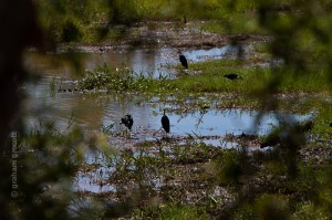 IMG_1876