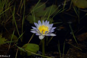 IMG_2035