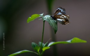 IMG_2045