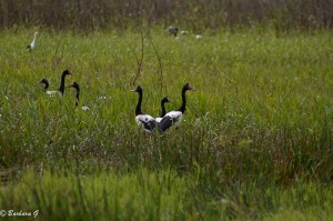 IMG_2065