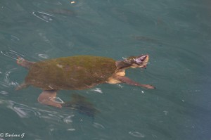 IMG_2103